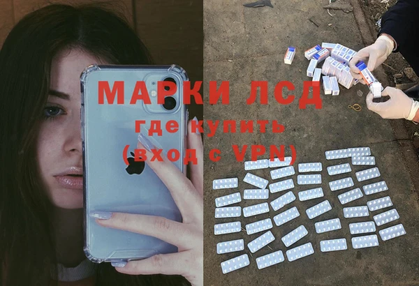 ПСИЛОЦИБИНОВЫЕ ГРИБЫ Бугульма