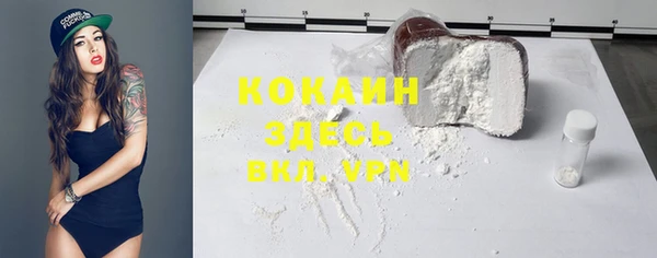прущие крисы Бородино