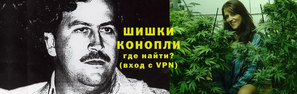 прущие крисы Бородино